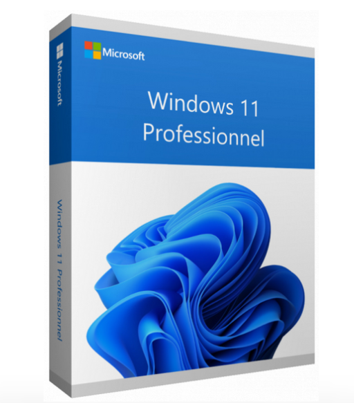 Microsoft Windows 11 Pro 64 bits Français (Licence originale + DVD)